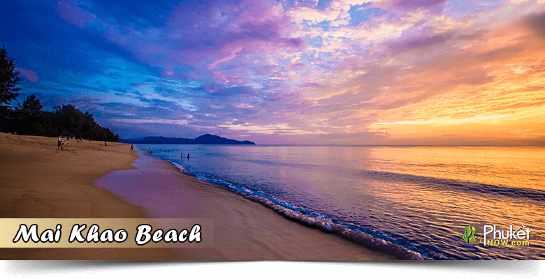 Best 8 Beach in Phuket 14 MAI KHAO BEACH