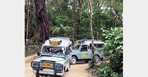 Jungle Adventure Tour