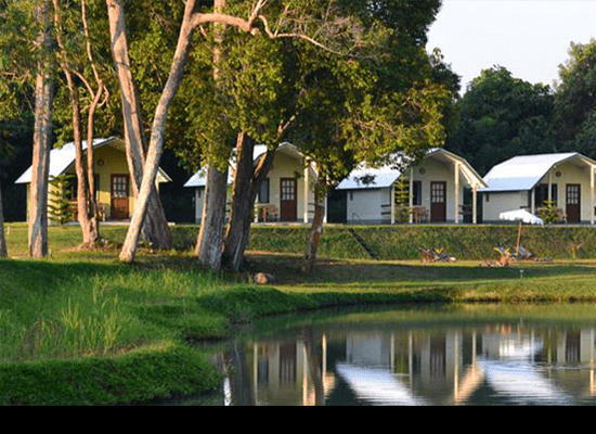 Best 8 Low Cost Hotels in Phuket 6 Phuket Campground, Phuket